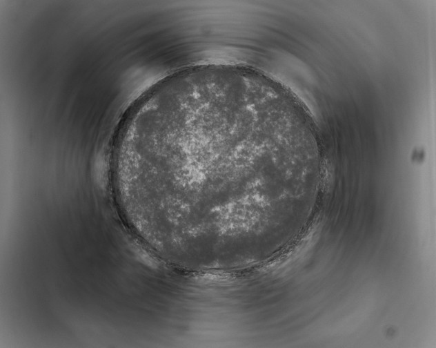 X0000102350874200808291158