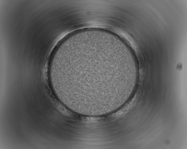 X0000102350875200808291158