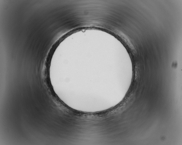 X0000102350876200808291158