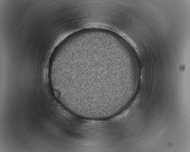 X0000102350877200808291158