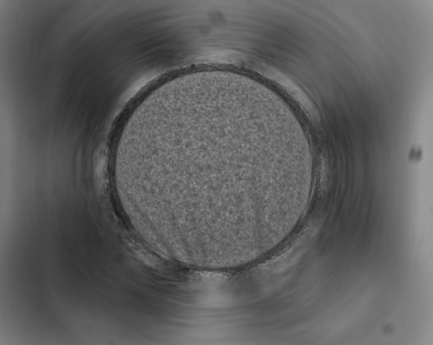 X0000102350878200808291158