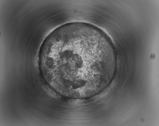 X0000102350879200808291158