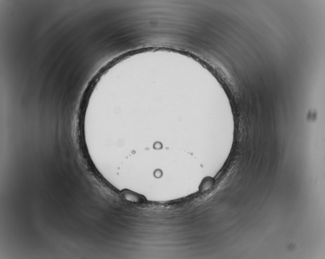 X0000102350880200808291158