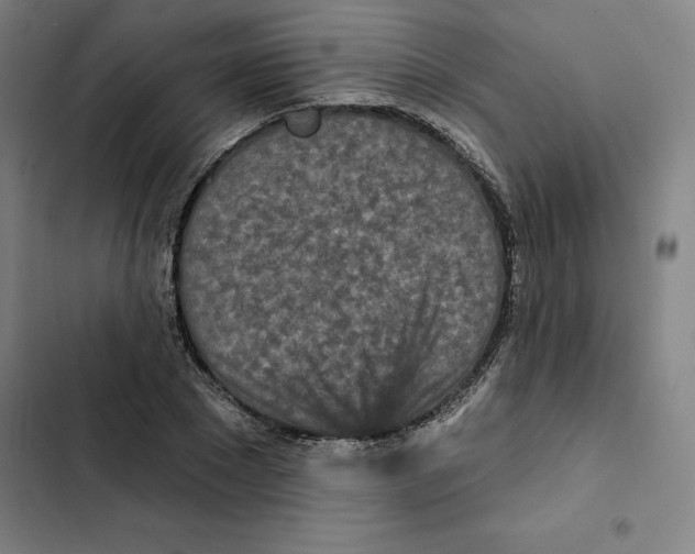 X0000102350881200808291158