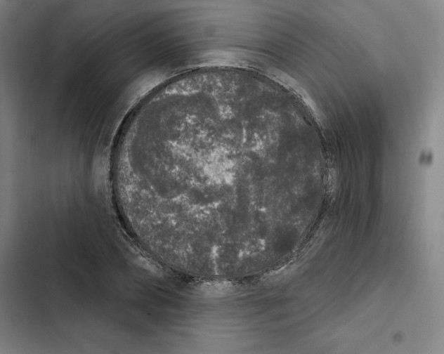 X0000102350882200808291158