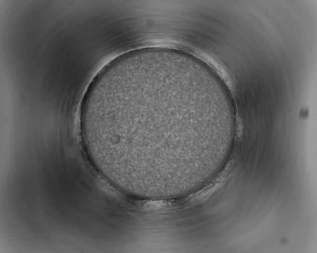 X0000102350883200808291158