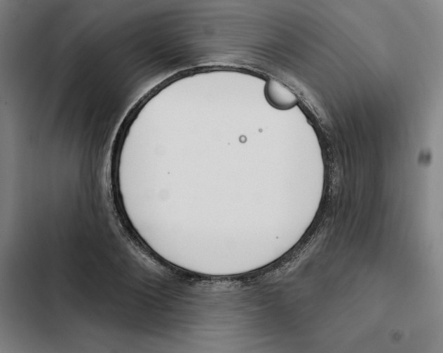 X0000102350884200808291158