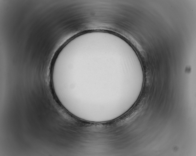 X0000102350885200808291158