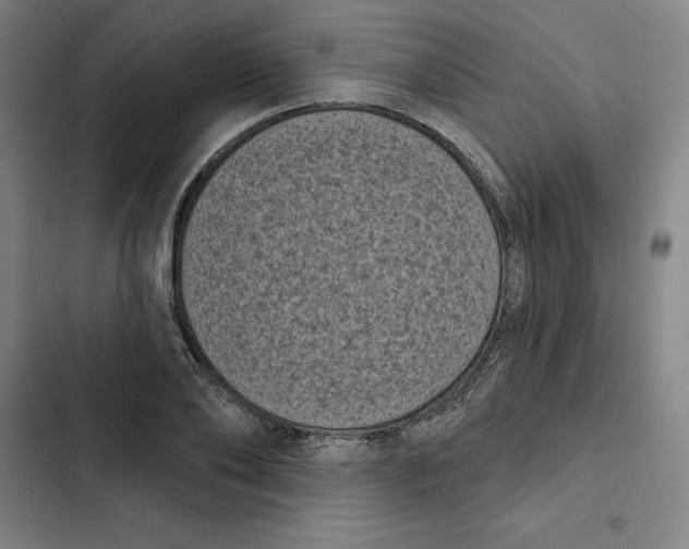 X0000102350886200808291158
