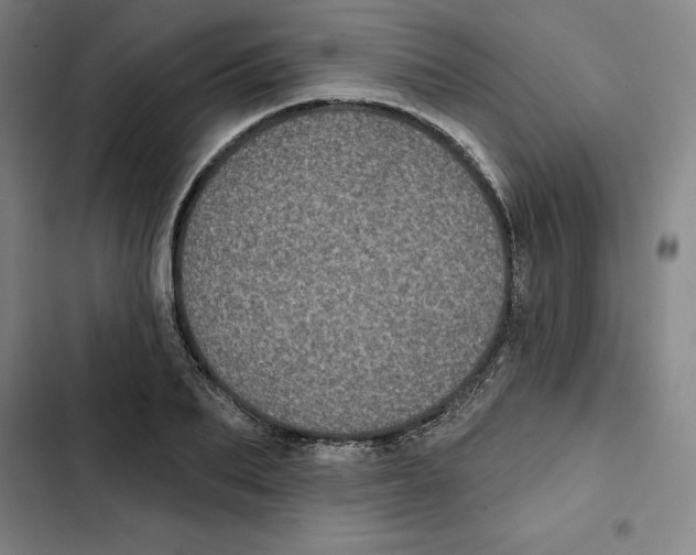 X0000102350887200808291158