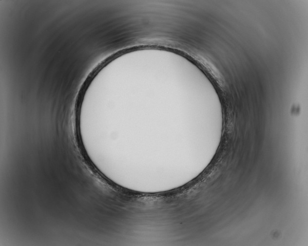 X0000102350888200808291158