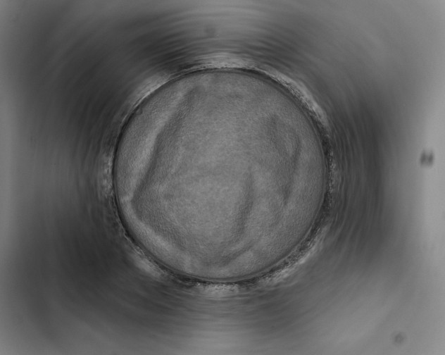 X0000102350889200808291158