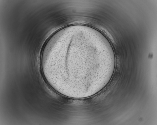 X0000102350890200808291158