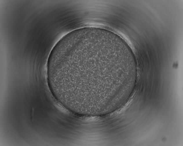 X0000102350891200808291158