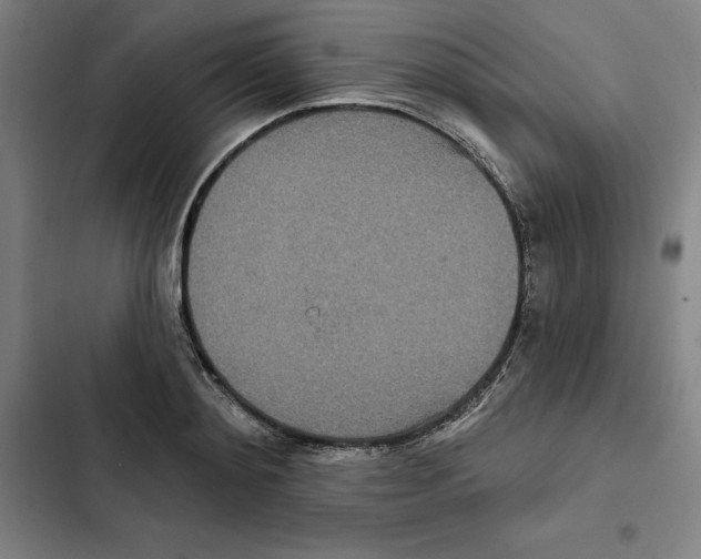 X0000102350892200808291158