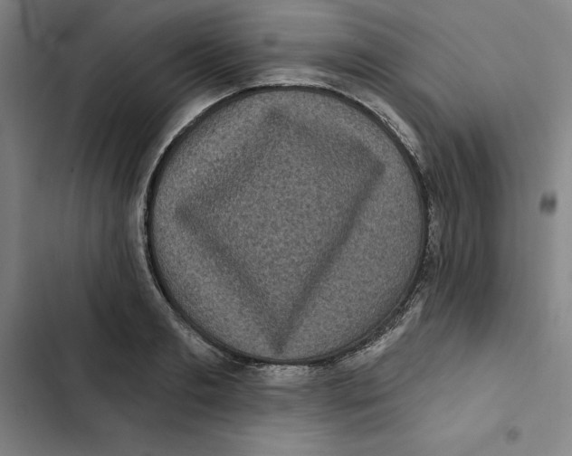 X0000102350893200808291158