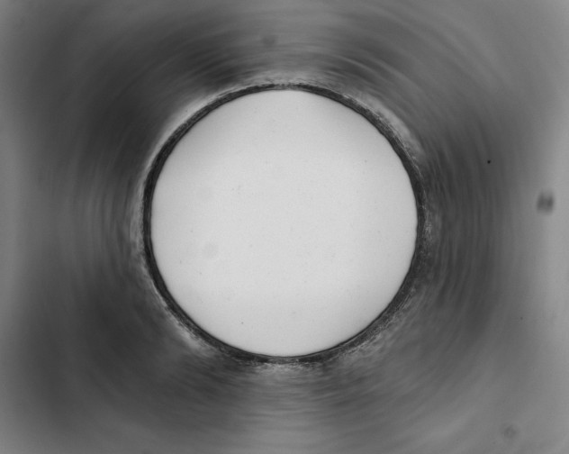 X0000102350894200808291158