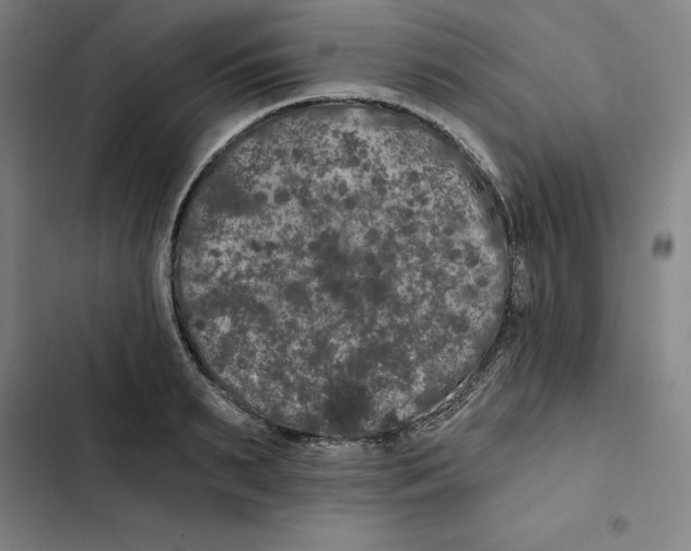 X0000102350895200808291158