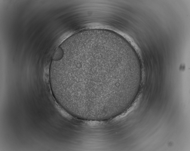 X0000102350897200808291158