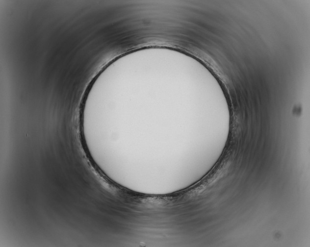 X0000102350898200808291158