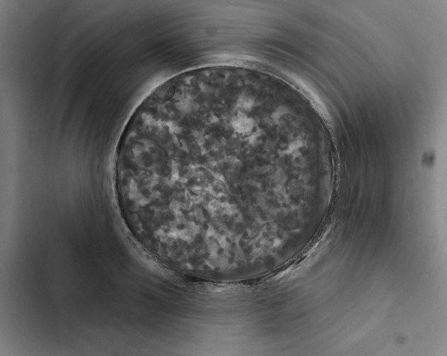 X0000102350899200808291158