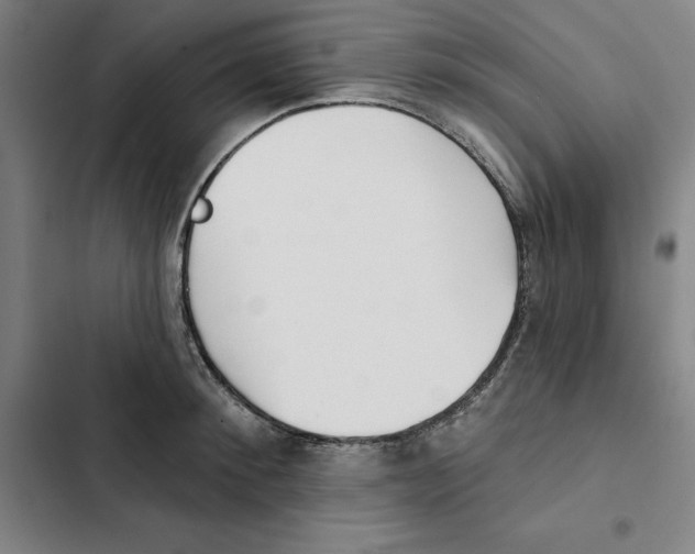 X0000102350900200808291158
