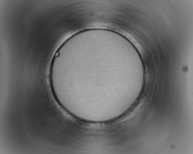 X0000102350901200808291158