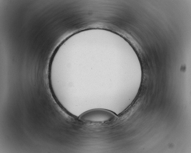 X0000102350902200808291158