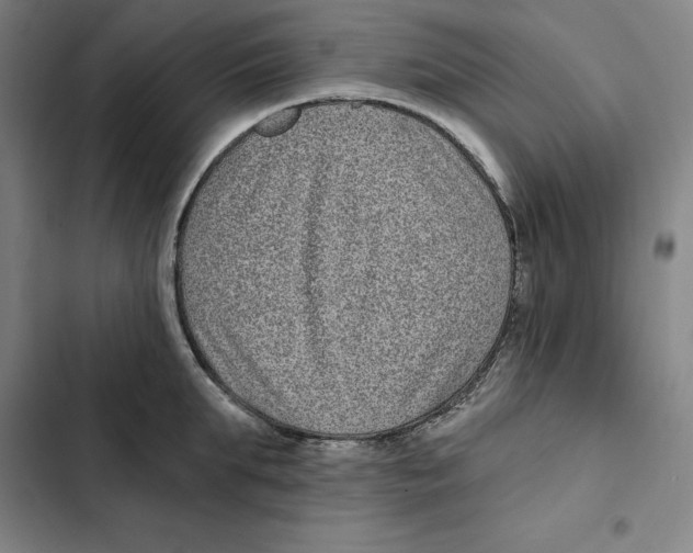 X0000102350903200808291158