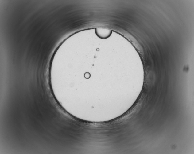 X0000102350904200808291158