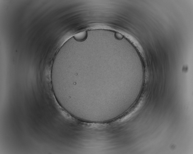 X0000102350905200808291158