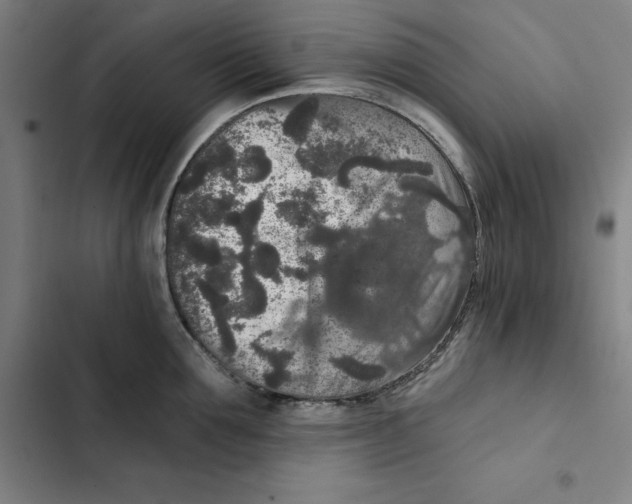 X0000102350907200808291158