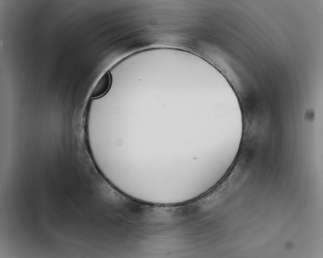 X0000102350908200808291158