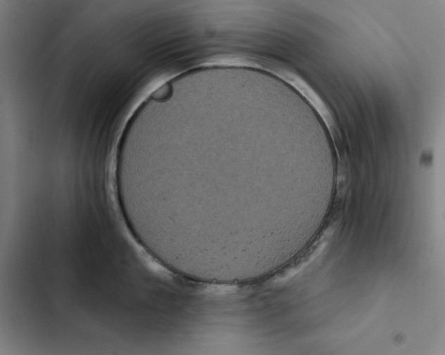 X0000102350909200808291158