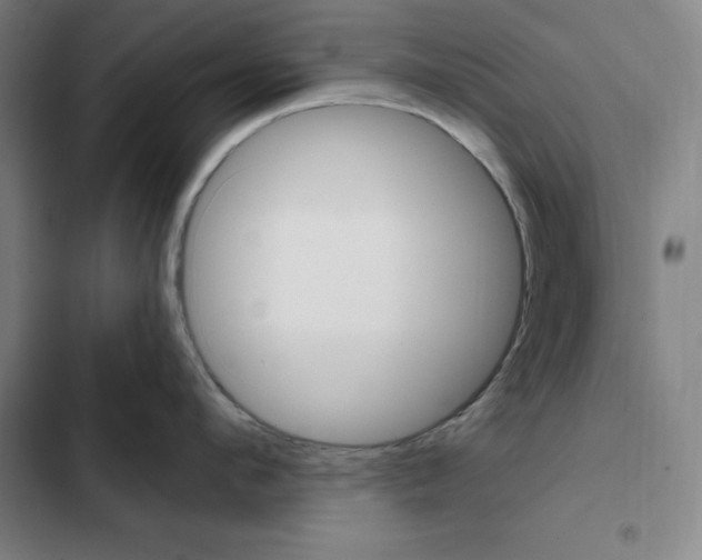 X0000102350912200808291158