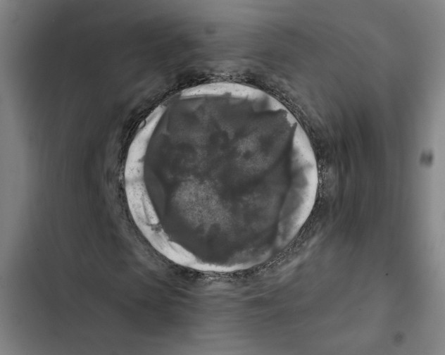 X0000102350913200808291157