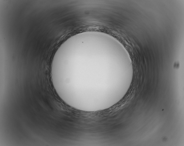 X0000102350916200808291157