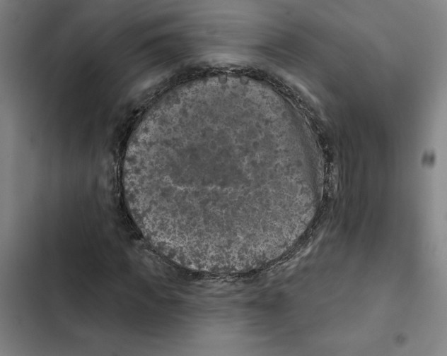 X0000102350917200808291157