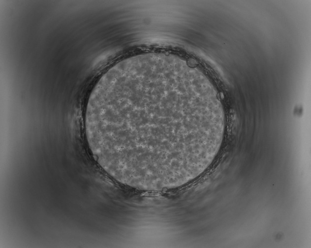 X0000102350918200808291157