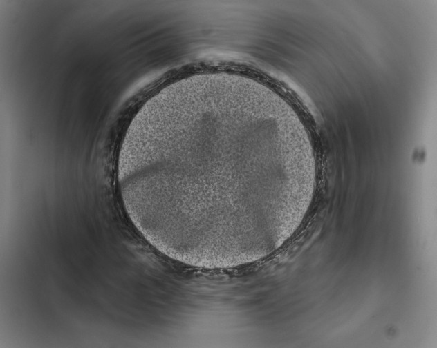 X0000102350919200808291157