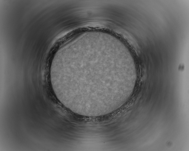 X0000102350920200808291157