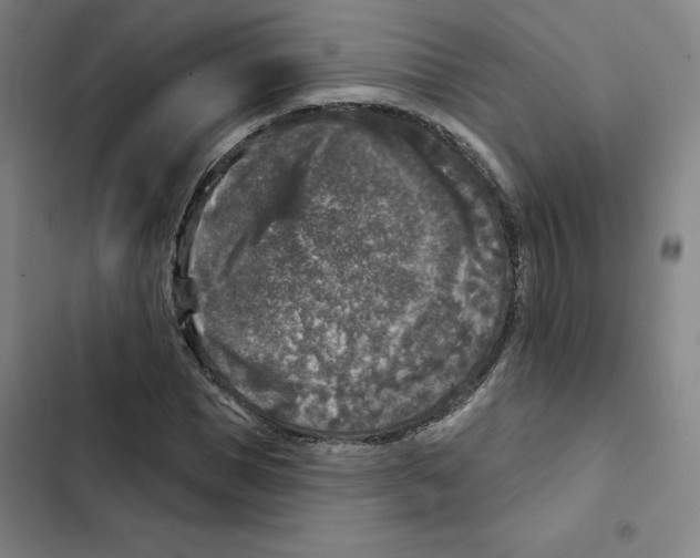 X0000102350921200808291157