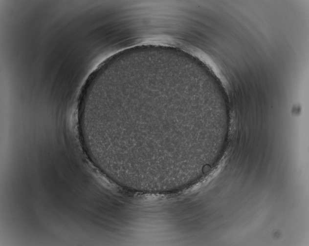 X0000102350923200808291157