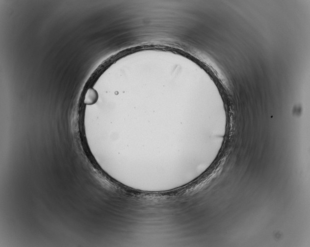X0000102350924200808291157