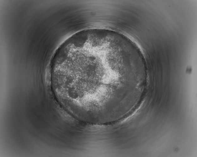 X0000102350925200808291157