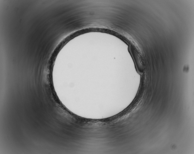 X0000102350926200808291157