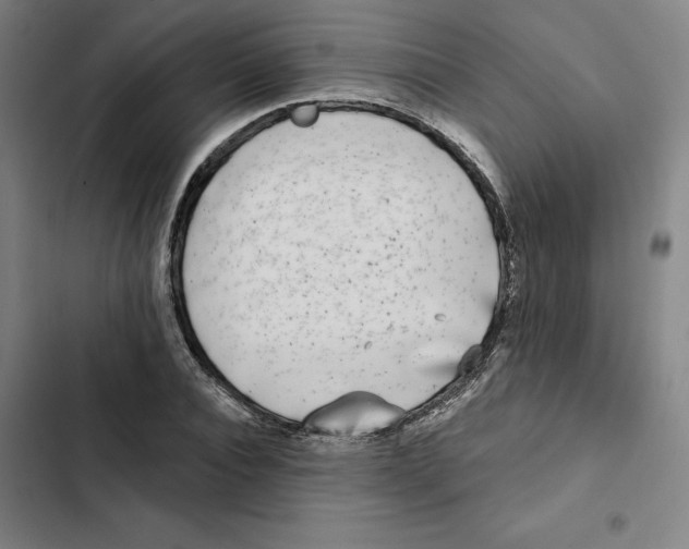 X0000102350928200808291157
