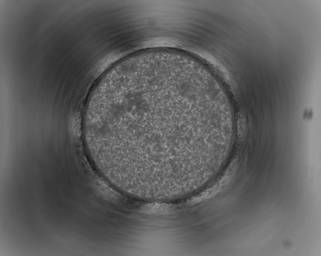 X0000102350929200808291157