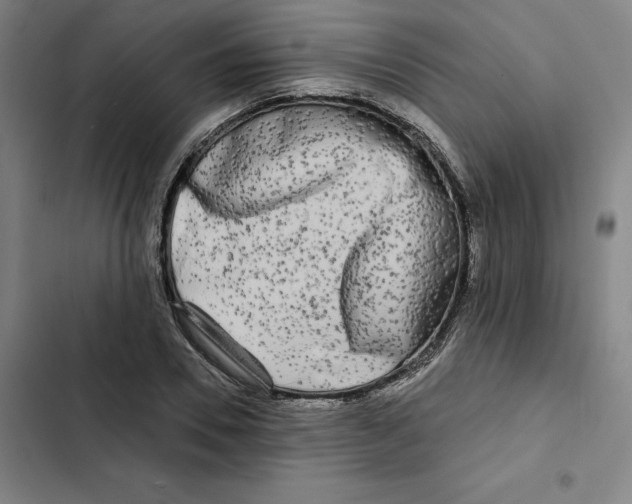 X0000102350930200808291157