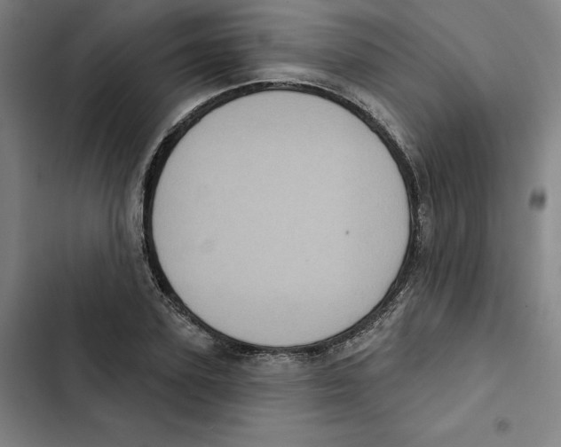 X0000102350931200808291157